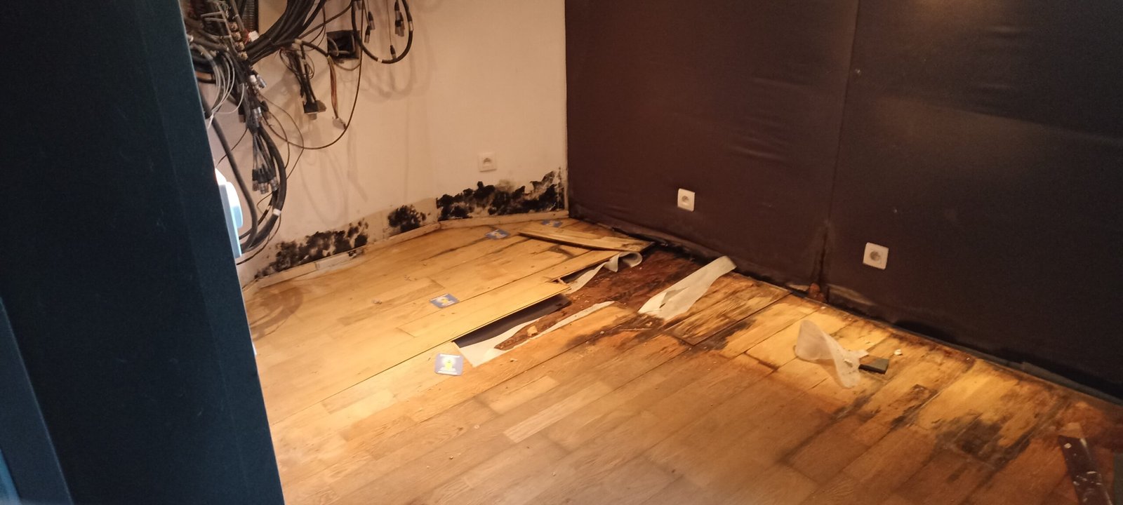 Sound Wave Studio — TAM 7